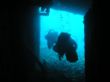 THISTLEGORM7.jpg